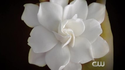 Jane the Virgin - S01 E01 Trailer (English) HD