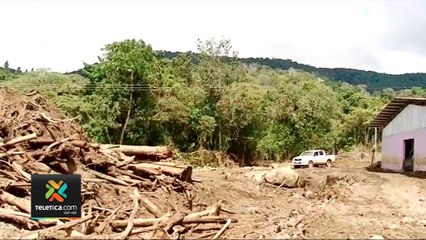 tn7-productor-de-cafe-perdio-casi-dos-millones-de-kilos-de-cafe-101120