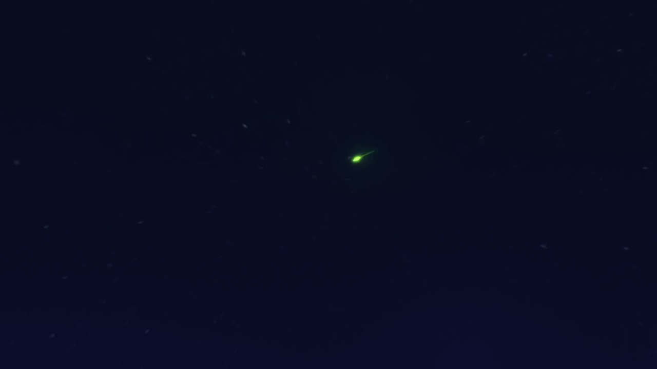 Tinkerbell und die Legende vom Nimmerbiest - Trailer (Deutsch) HD