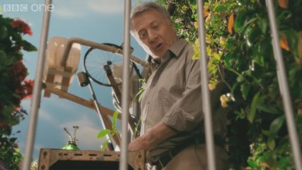 Esio Trot - Clip Childhood Memories (English) HD