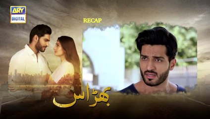 Bharaas Episode 19 - 9th November 2020 - ARY Digital Drama [newpakdramas]