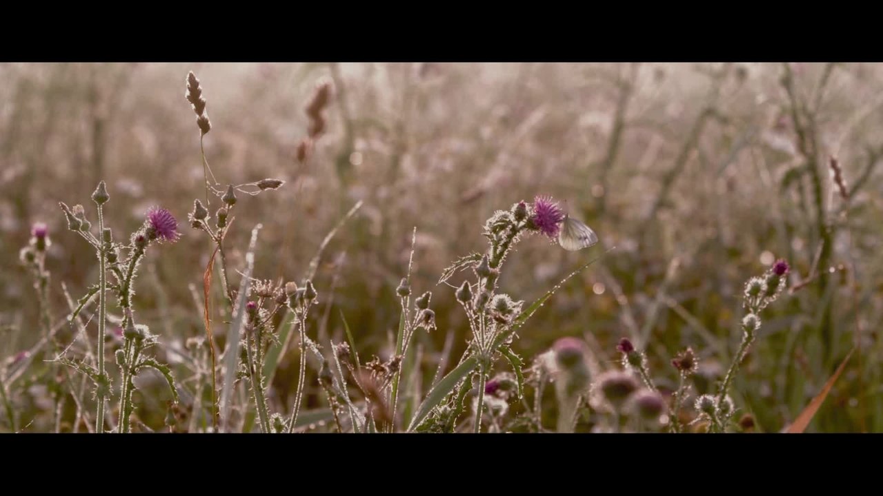 Die neue Wildnis -  Clip Krieg um den Thron (Deutsch) HD