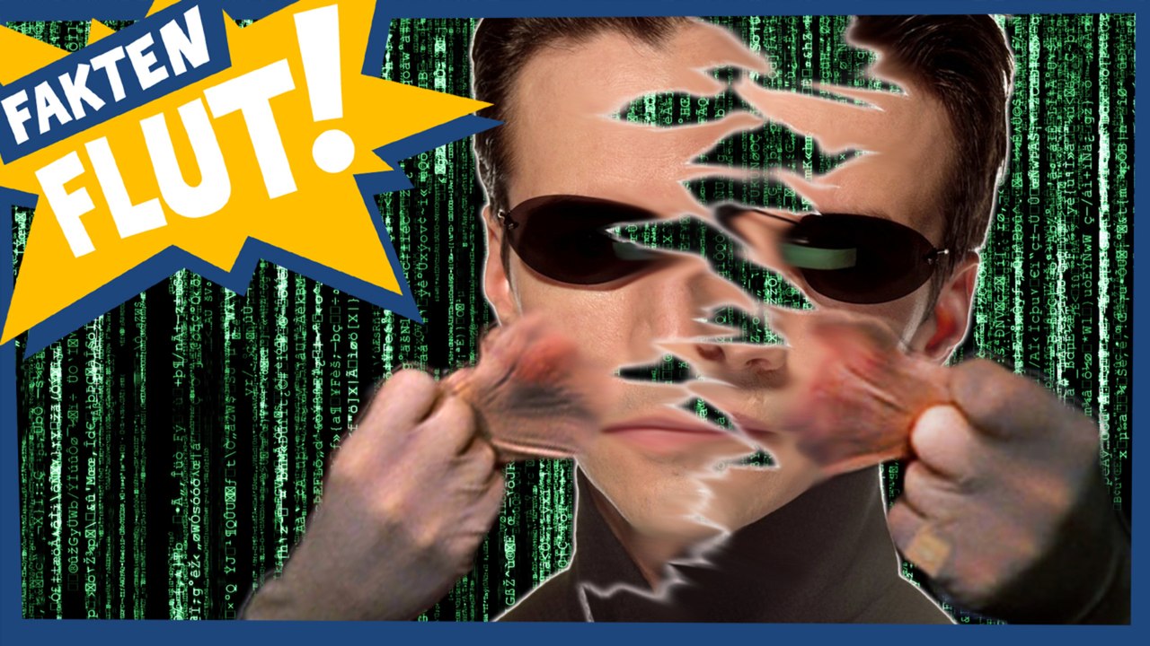 Kritiker zerreiÃŸen Matrix! | Faktenflut