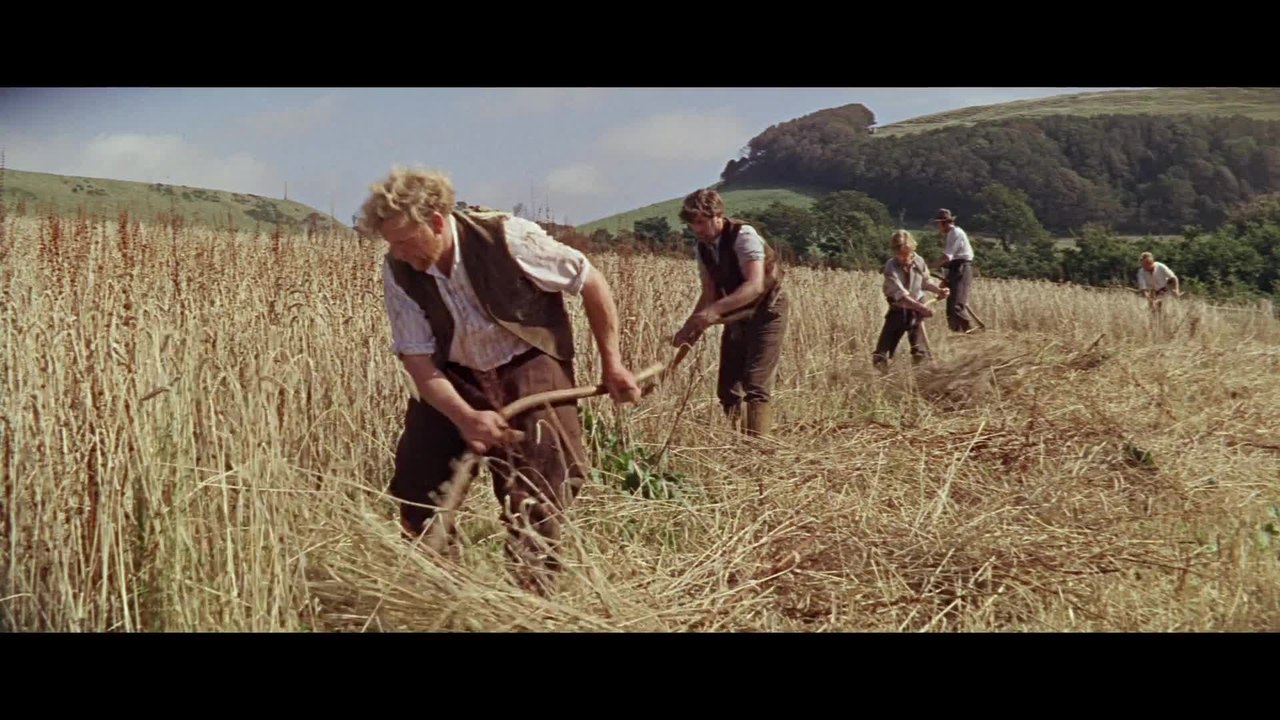 Far From The Madding Crowd - Re-Release Trailer (English) HD