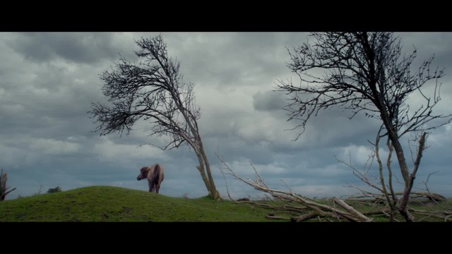 Die neue Wildnis - Clip Das perfekte Sommergewitter (Deutsch) HD