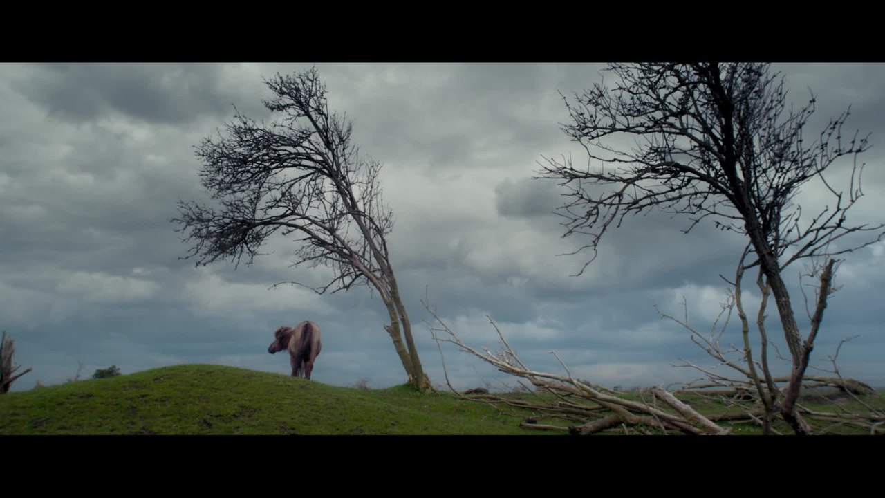 Die neue Wildnis -  Clip Das perfekte Sommergewitter (Deutsch) HD