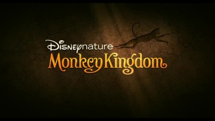 Monkey Kingdom - Featurette Making Of (English) HD