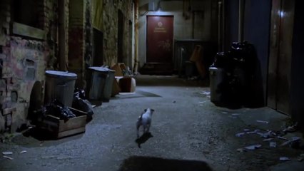 Russell Madness - Trailer (English) HD