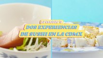 ¿Cuál es el MEJOR SUSHI, el BARATO o el CARO? | EL MAL DEL PUERCO