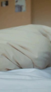 8 Reasons Why We Love Cats