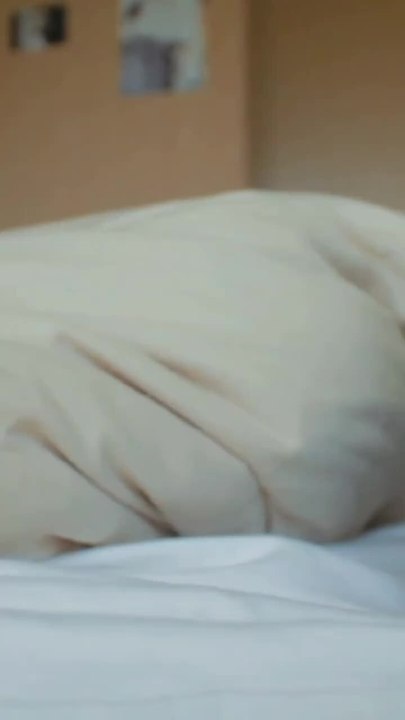 8 Reasons Why We Love Cats