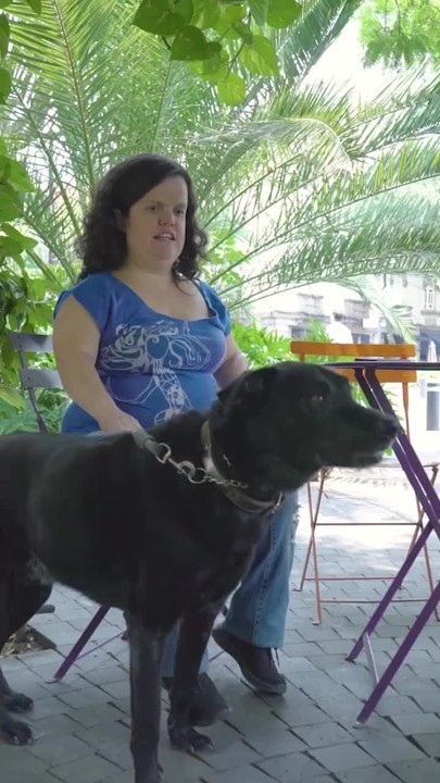 The Meaning Behind Color Coded Dog Collars