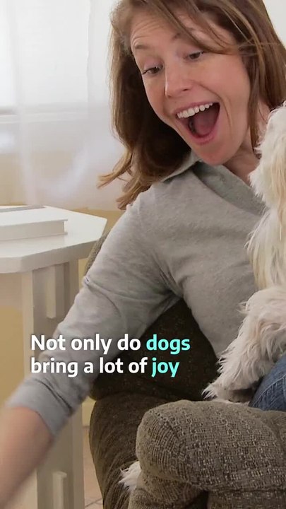 Having A Dog Can Help You Live Longer FB
