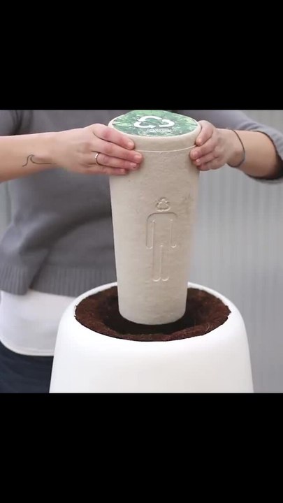 Turn Ashes Into Trees