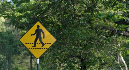 Monkey Kingdom - Clip Urban Jungle (English) HD