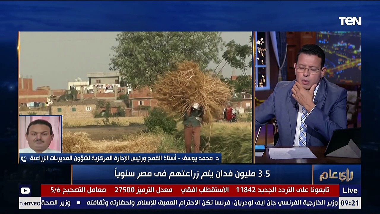 رأي عام | رئيس المركزية للشؤون الزراعية: مصر تنتج 9 مليون طن قمح سنويا وتستهلك 14 مليون طن