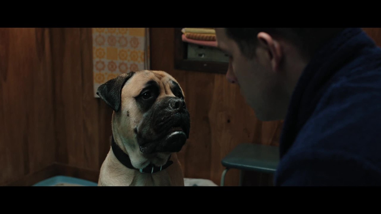 The Voices - Clip Beschissen Naiv (Deutsch) HD