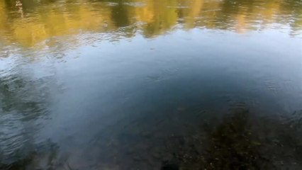 24 Exposures - Trailer (English)