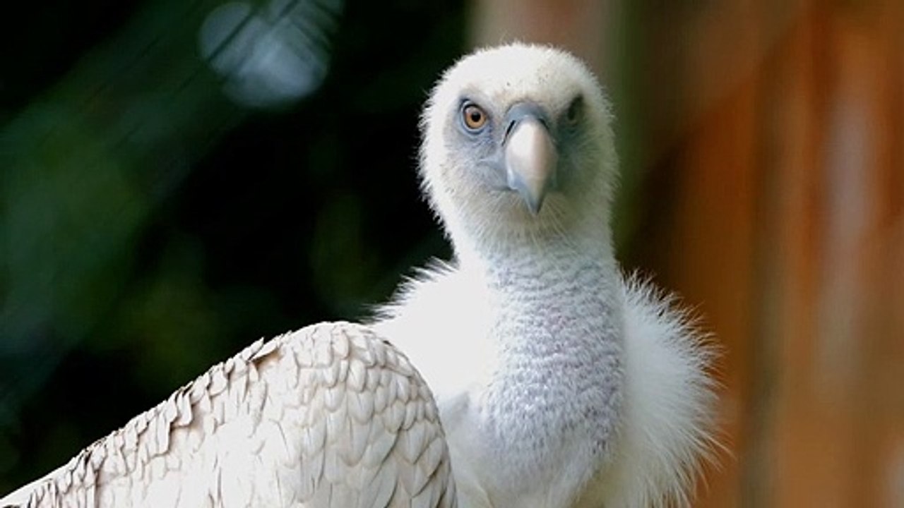 La Real Naturaleza