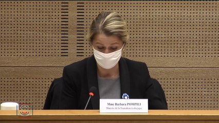 Barbara Pompili : "Avec le budget vert, nous préparons une petite révolution"