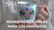 Remedios naturales contra los parásitos intestinales