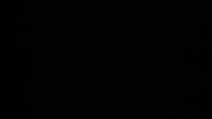 The Darkroom - Trailer (English)