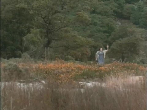 Tanz in die Freiheit