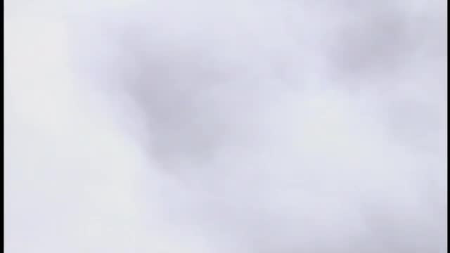 Barbie und der geheimnisvolle Pegasus