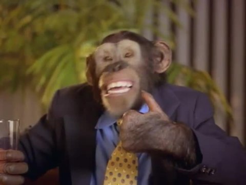 Jack - extrem schräg