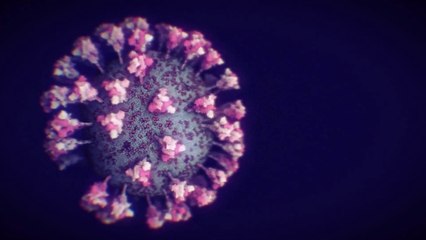 Modelo 3D detalhado do novo coronavírus