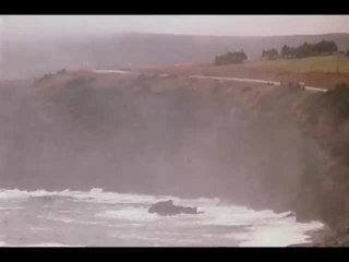 Rare Birds - Trailer (English)