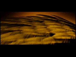 Elvis and Anabelle - Trailer (English)