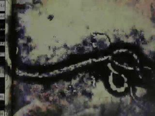 Repli-Kate - Trailer (English)