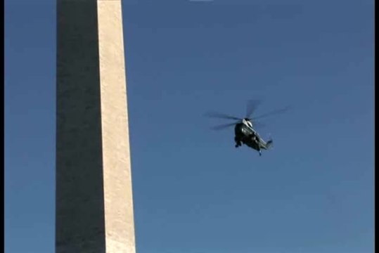 First Dog - Zurück nach Hause