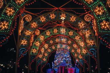 How Walt Disney World Transforms Into a Winter Wonderland Practically Overnight