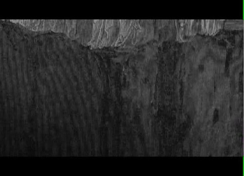 Sweethearts of the Prison Rodeo - Trailer (English)