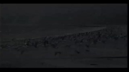 Watchful Eye - Trailer (English)