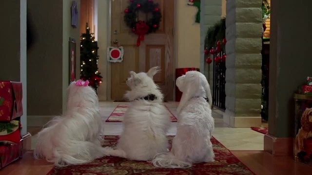 Die drei Hundketiere retten Weihnachten