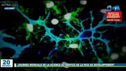 RTG / La communauté internationale célèbre la journée de la science au service de la paix et du développement