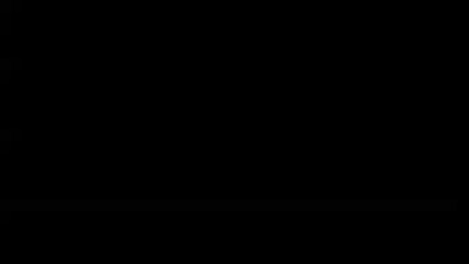 Das Summen der Insekten - Trailer (English)