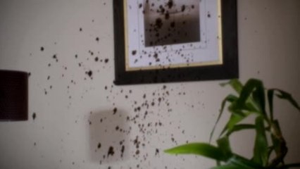 Space Buddies - Trailer (English)