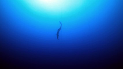 Attention A Life in Extremes - Trailer (English) HD