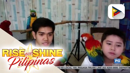 Adorable pets ng pamilyang Murillo, kilalanin