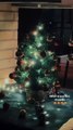 Evaluna y Camilo adelantaron la decoración y mostraron su primer árbol de Navidad