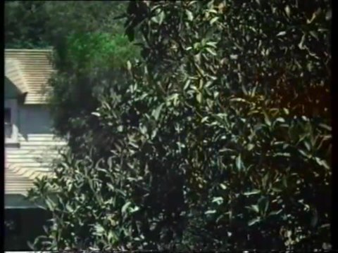 Die Waltons - Intro (Deutsch)