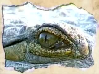 Crocodile Hunter - Intro (English)