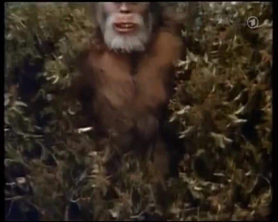 Harry und die Hendersons - Intro (Deutsch)