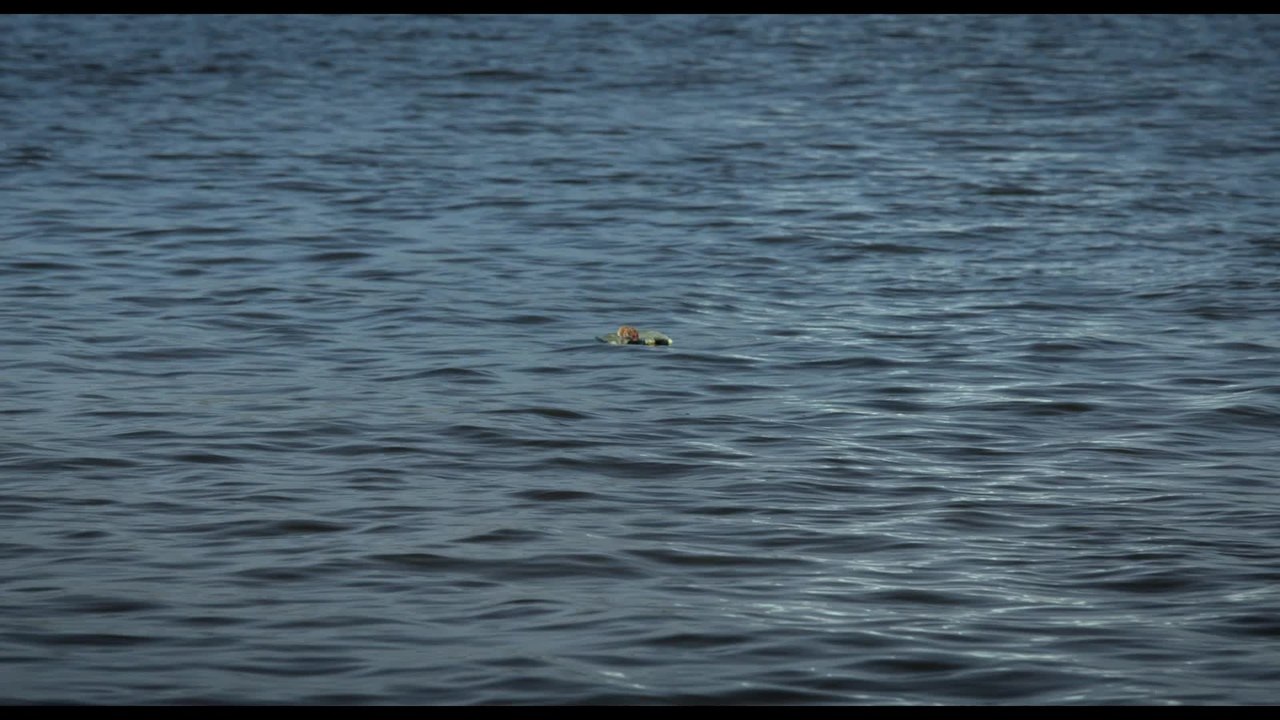 Rettet Raffi - Clip Raffi auf dem Fluss (Deutsch) HD