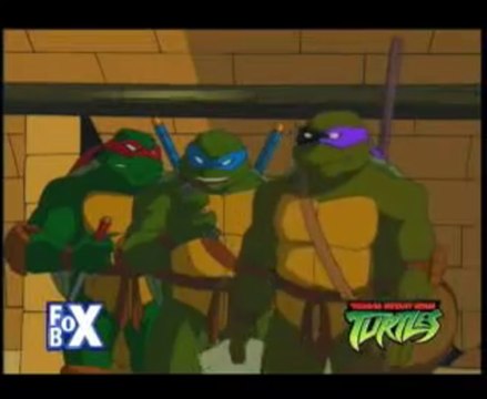 Teenage Mutant Ninja Turtles