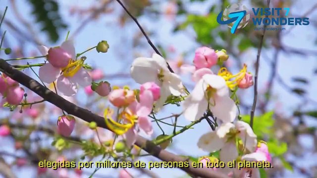 ¡Feliz aniversario a nuestras Nuevas 7 Maravillas Naturales del Mundo!